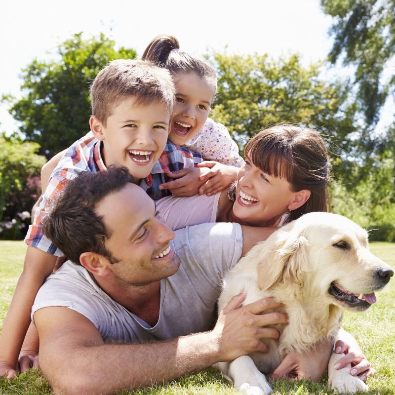 family enjoying the park